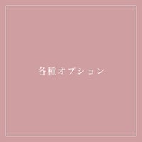各種オプション