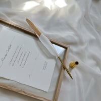 feather pen  羽根ボールペン