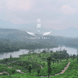 天游-TENYU-