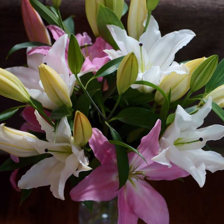 大輪のオリエンタル百合おまかせ５本花束
