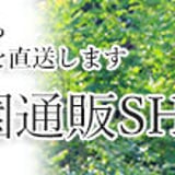 梨元農園