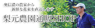 梨元農園