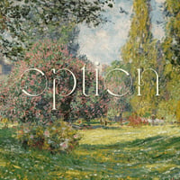option