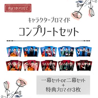 ブロマイド コンプリートセット