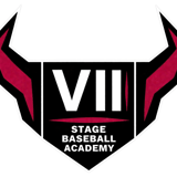 VII STAGE BASEBALL ACADEMY