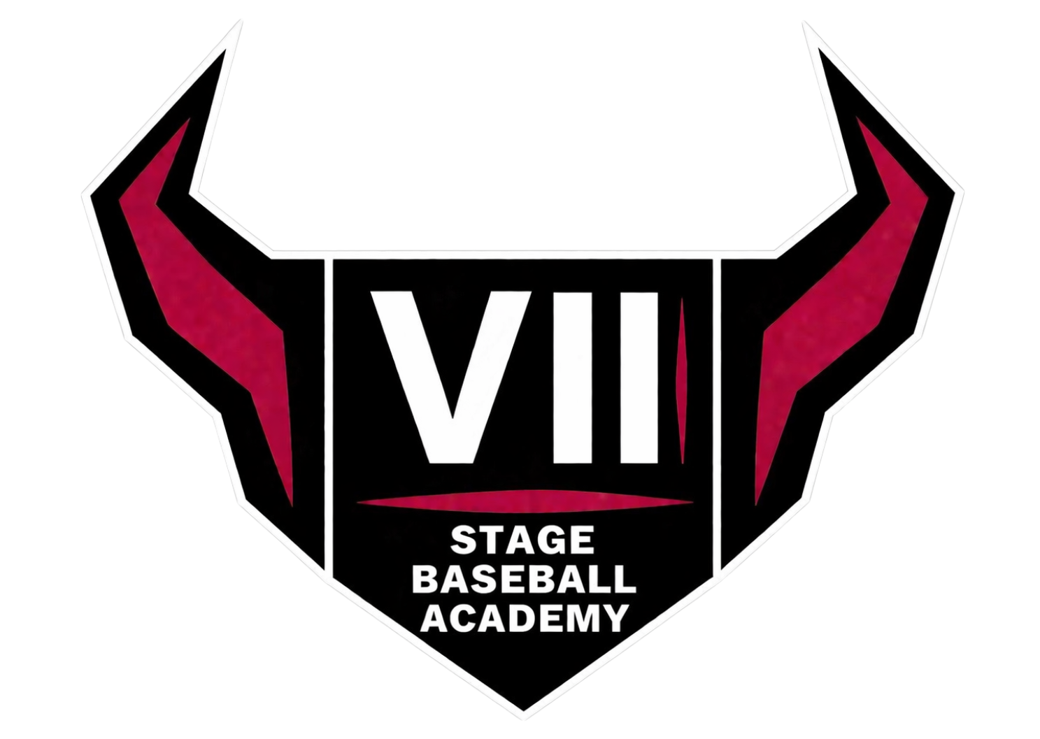 VII STAGE BASEBALL ACADEMY