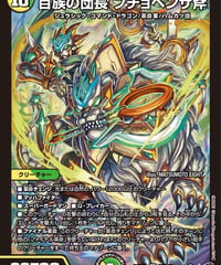 百族の団長 プチョヘンザ斧（S8/S11）