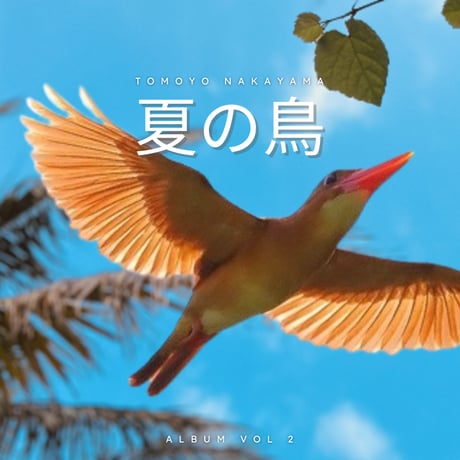 南島焼 アカショウビンの26cm陶板 アカショウビン | STORES