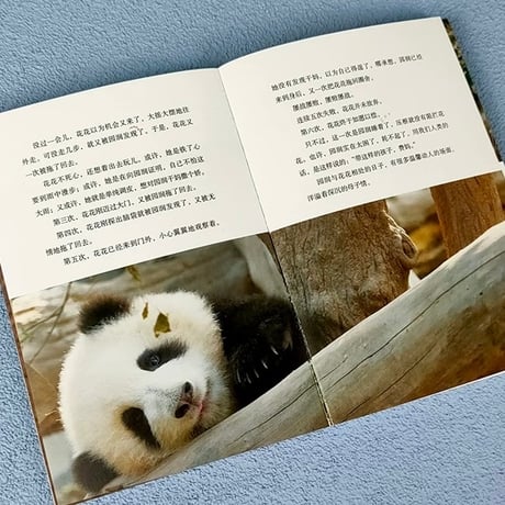 熊猫花花｜パンダ花花