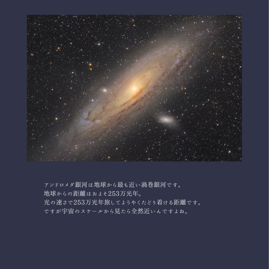 6992bf283fed3c06d7646a6b