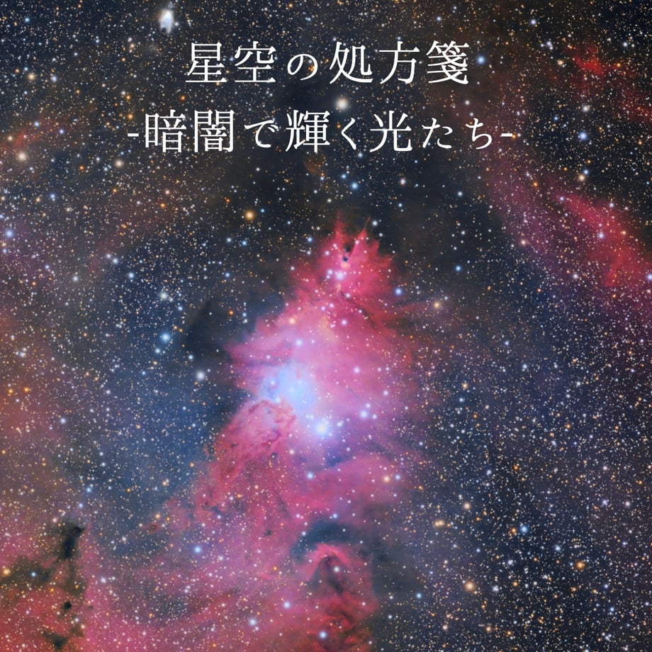 6992bf283fed3c06d7646a6b