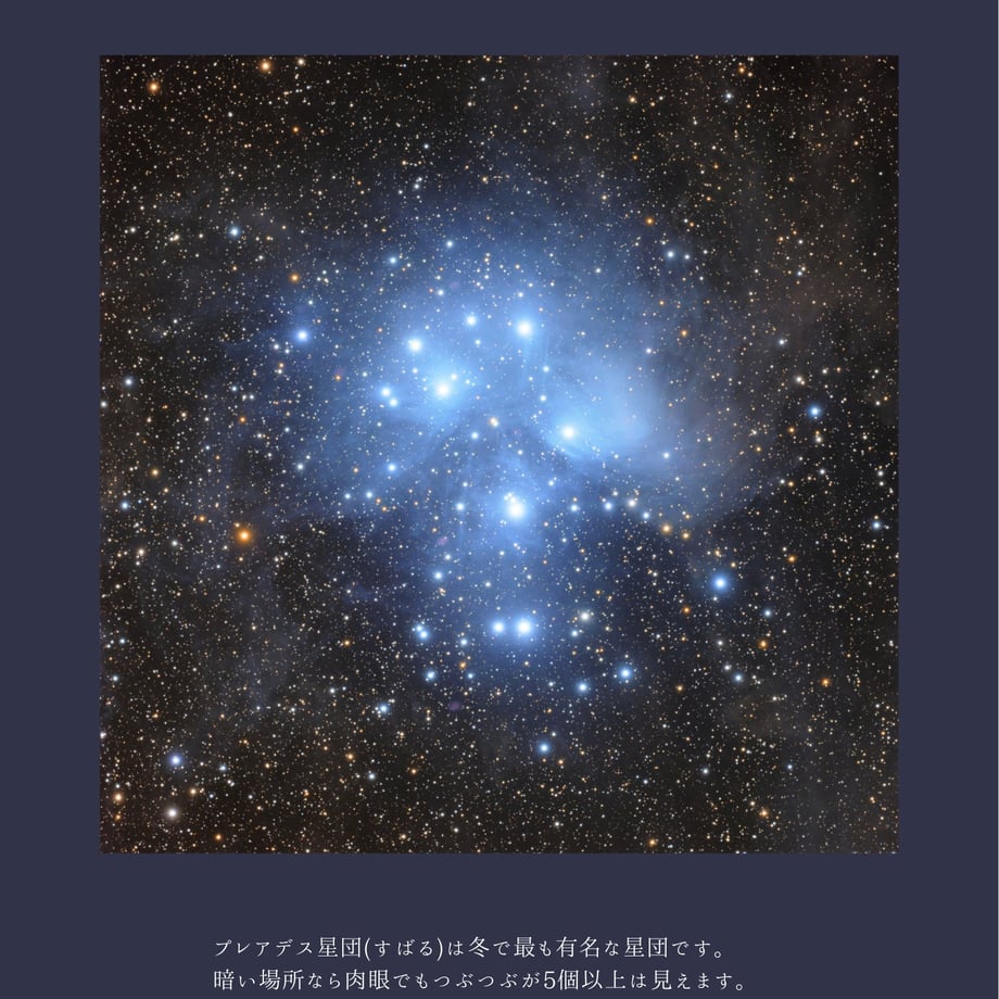 6992bf283fed3c06d7646a6b