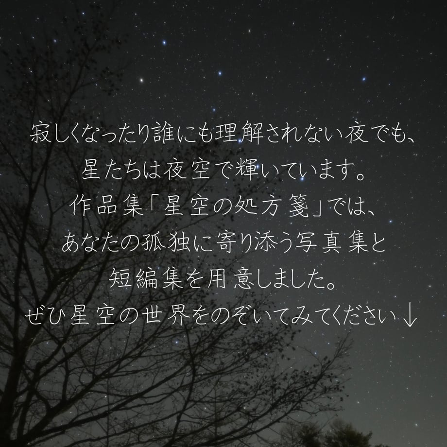 6992bf283fed3c06d7646a6b