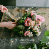 pflanzetiade STORE