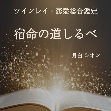 ツインレイ | STORES