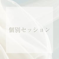 個別セッション