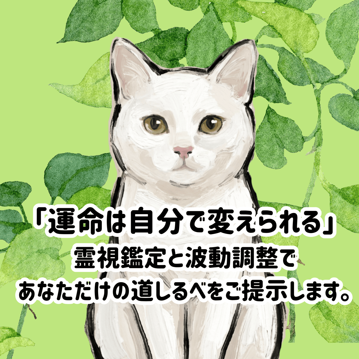 リピーター様 霊視鑑定 占い 【公式通販】