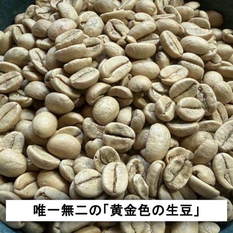 インド モンスーン【深煎り】