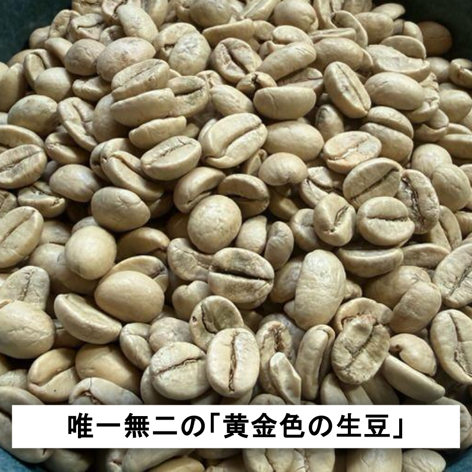69cee77f956c0ce4cb85e555