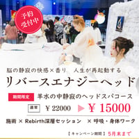 リバースエナジーヘッド特別キャンペーン