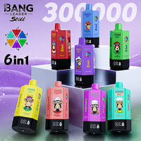 Bang Leader Stoll 300K/0mg(ゼロニコチン)
