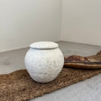 近藤 奈津季 蓋もの