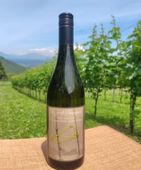 Bozza di Sauvignon (ソーヴィニヨン・ブラン　白ワイン)　クール便配送　限定100本