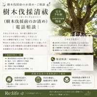【樹木伐採清祓（樹木伐採前のお清め）｜電話相談】 ~出張依頼の前段階としてのご相談です。