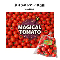 【ワトム農園直送】まほうのトマト１kg箱