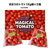 【ワトム農園直送】まほうのトマト１Kg箱×２箱セット