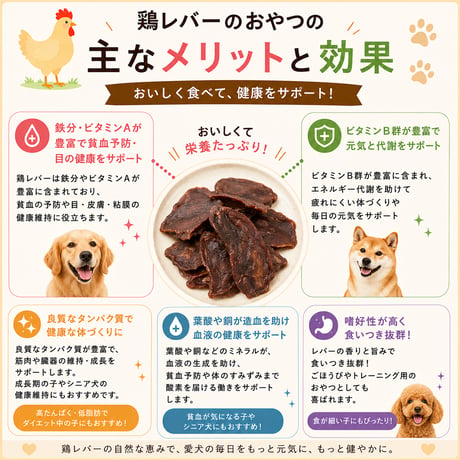 ればーちっぷす 40g 無添加 犬用おやつ 【日向のわんこ】
