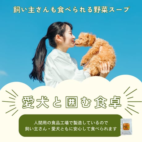 わんわんアクア 国産野菜スープ 100g 無添加 【自然の恵み】