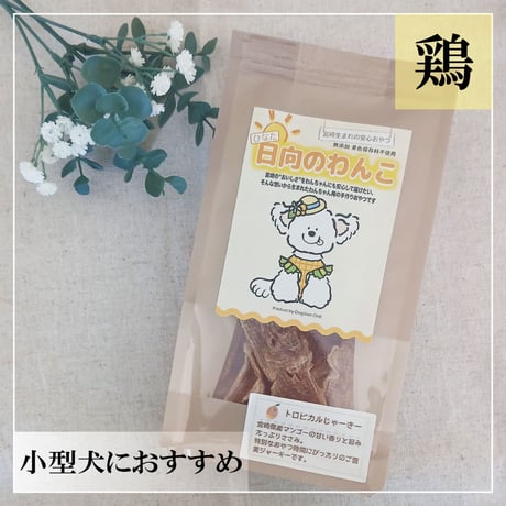 トロピカルじゃーきー 30g 無添加 犬用おやつ 【日向のわんこ】