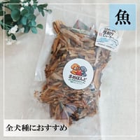 うるめ節厚削 100g 無添加 犬用おやつ 【まめぼんど】