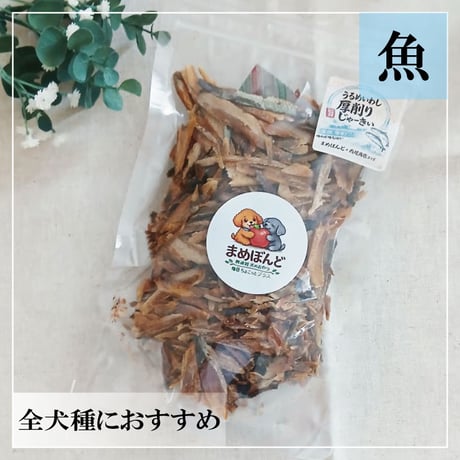 うるめ節厚削 100g 無添加 犬用おやつ 【まめぼんど】