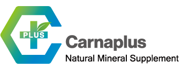 Carnaplus Store