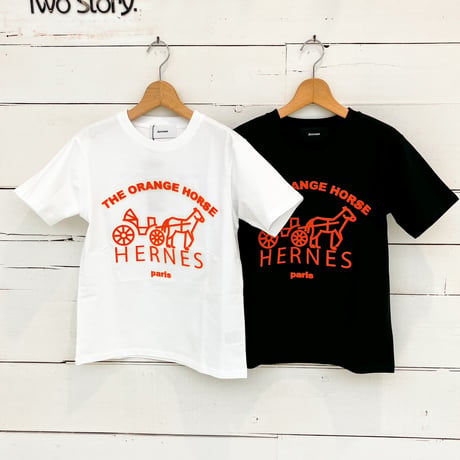 【Account PARIS】 HERNES T-SHIRT【22-4244T】