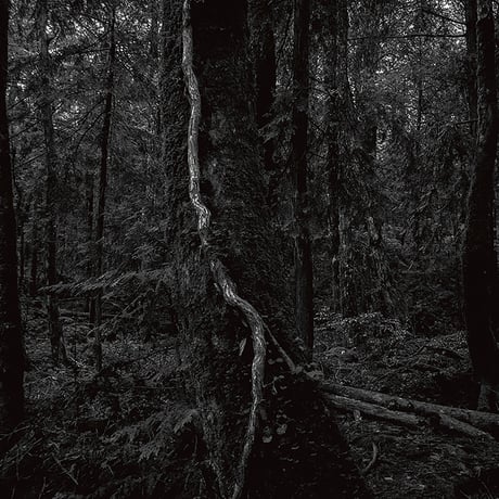 SKIN of the earth