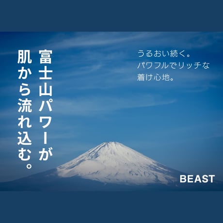 【一番人気】BEAST マルチコンディショニングセラム