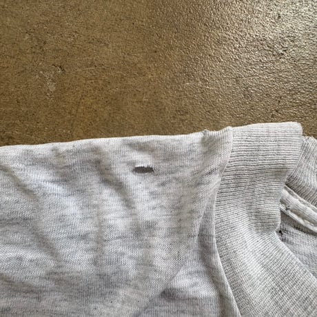90s Bernese mountain dog tee