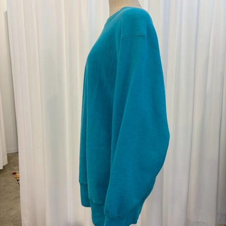 90s champion reverse weave ターコイズ rare color sizeL