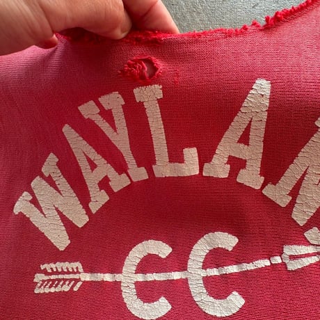 maybe champion vintage