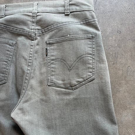 Levis BIG E カツラギ