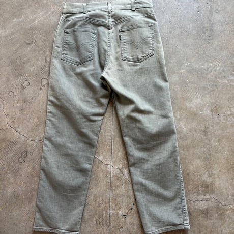 Levis BIG E カツラギ