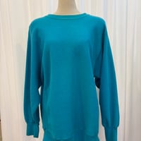 90s champion reverse weave ターコイズ rare color sizeL