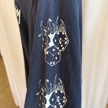 Stussy 袖ロゴ入り ロンTEE