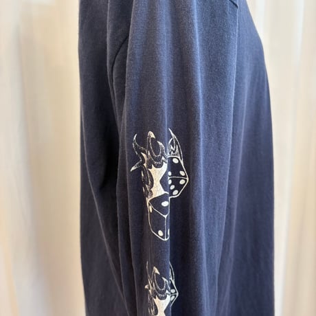 Stussy 袖ロゴ入り ロンTEE
