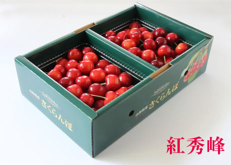 たのしいさくらんぼ研究所