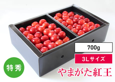 CATEGORY やまがた紅王 | たのしいさくらんぼ研究所
