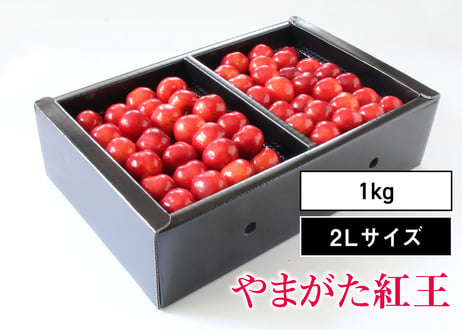 CATEGORY やまがた紅王 | たのしいさくらんぼ研究所